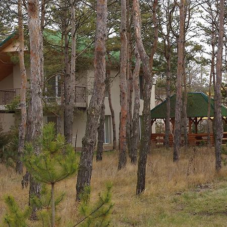 Hotel Allians Коблево Екстериор снимка